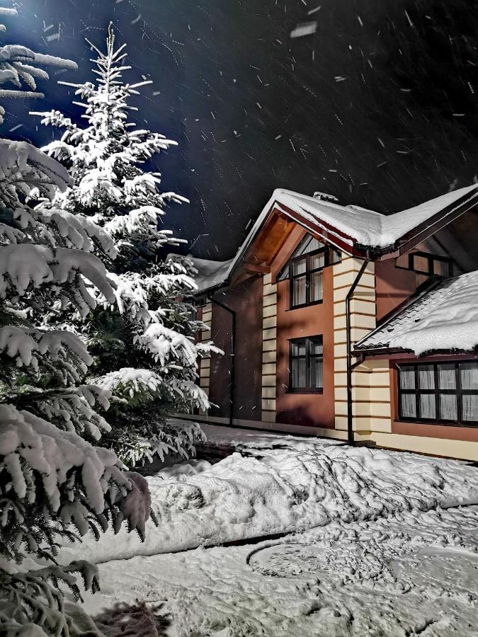 Villa Hostynnyy Dvir & *